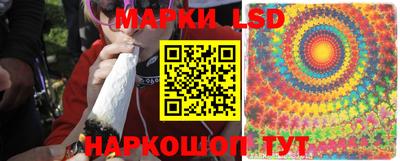 гидра Балахна