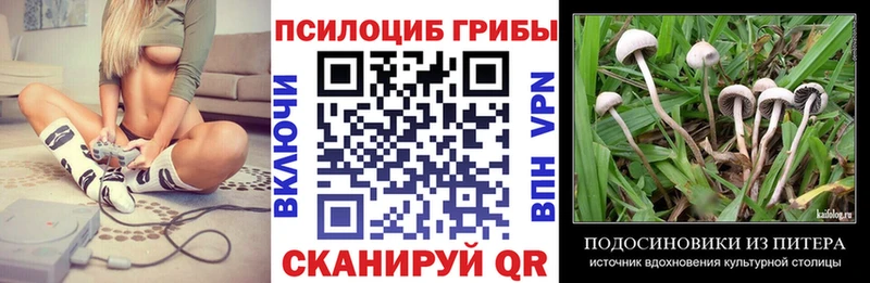 Галлюциногенные грибы прущие грибы  Тверь 