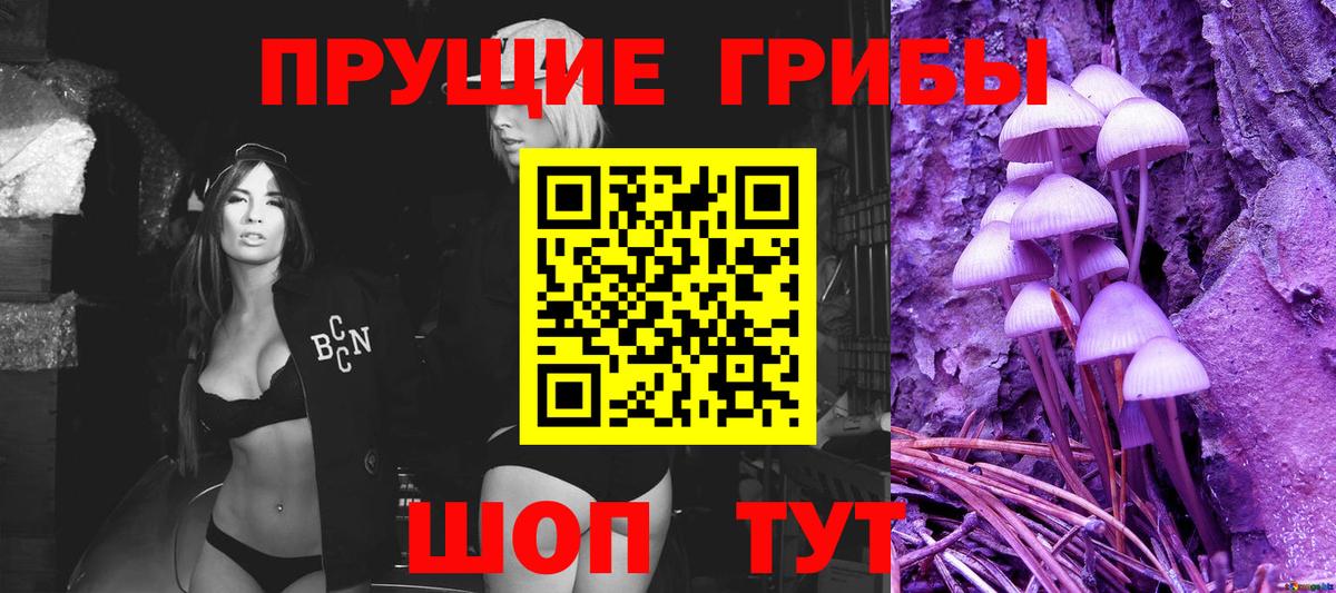 где продают наркотики  Тверь  Галлюциногенные грибы Magic Shrooms 