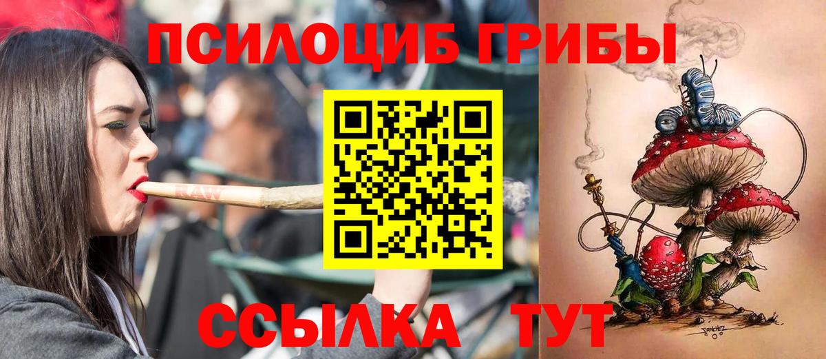 Галлюциногенные грибы Psilocybe Тверь